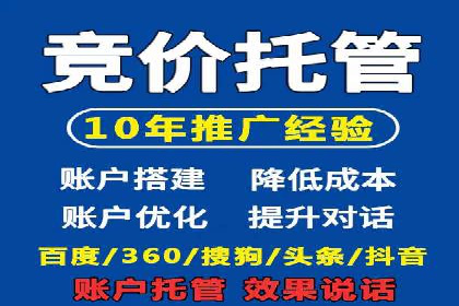 解析SEM推广代运营公司的成功案例及效果